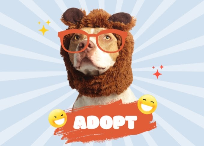 Design as you like with cute animal photo